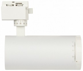 Светильник на штанге Эра  TR59 - 3030 WH в Ялуторовске - yalutorovsk.ok-mebel.com | фото 4