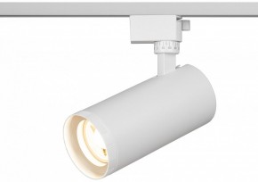 Светильник на штанге Эра  TR59 - 3030 WH в Ялуторовске - yalutorovsk.ok-mebel.com | фото 5