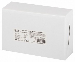 Светильник на штанге Эра  TRM-S5-3-12W4K-BK в Ялуторовске - yalutorovsk.ok-mebel.com | фото 8