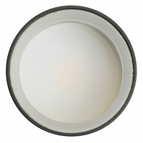 Светильник на штанге Feron ML1001 51371 в Ялуторовске - yalutorovsk.ok-mebel.com | фото 4