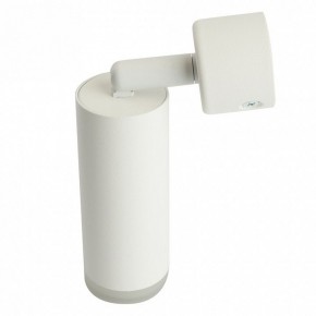 Светильник на штанге Feron ML1021 51390 в Ялуторовске - yalutorovsk.ok-mebel.com | фото 3