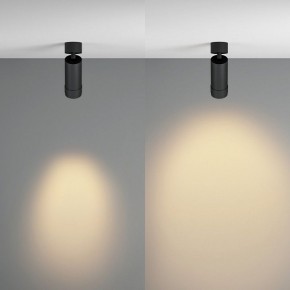 Светильник на штанге Maytoni Focus Zoom C055CL-L12W2.7K-Z-B в Ялуторовске - yalutorovsk.ok-mebel.com | фото 3