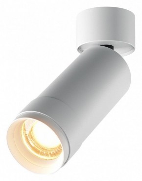 Светильник на штанге Maytoni Focus Zoom C055CL-L12W2.7K-Z-W в Ялуторовске - yalutorovsk.ok-mebel.com | фото