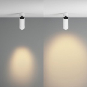 Светильник на штанге Maytoni Focus Zoom C055CL-L12W2.7K-Z-W в Ялуторовске - yalutorovsk.ok-mebel.com | фото 3