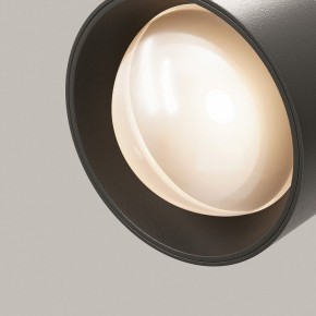 Светильник на штанге Maytoni Lens TR217-2-15W3K-B в Ялуторовске - yalutorovsk.ok-mebel.com | фото 12