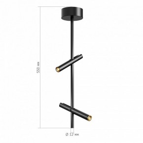 Светильник на штанге ST-Luce LILT SL6210.403.02 в Ялуторовске - yalutorovsk.ok-mebel.com | фото 3