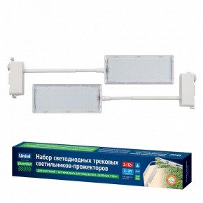 Светильник на штанге Uniel ULB-P37 UL-00012578 в Ялуторовске - yalutorovsk.ok-mebel.com | фото 2