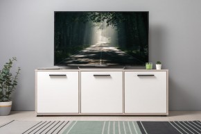 Тумба под ТВ 13.283.02 Винтаж в Ялуторовске - yalutorovsk.ok-mebel.com | фото 3