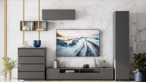 Тумба под ТВ Сибити в Ялуторовске - yalutorovsk.ok-mebel.com | фото 3