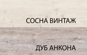 Тумба RTV 1D2SN, MONAKO, цвет Сосна винтаж/дуб анкона в Ялуторовске - yalutorovsk.ok-mebel.com | фото 3