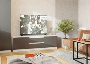 Тумба ТВ большая Парус (Белый/Графит) в Ялуторовске - yalutorovsk.ok-mebel.com | фото 2