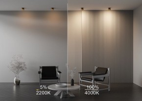 Встраиваемый светильник Maytoni Onda DL024-12W-DTW-BMG в Ялуторовске - yalutorovsk.ok-mebel.com | фото 9
